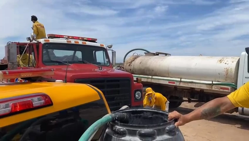 Incendio devasta manglares en las dunas del Tambor, Navolato