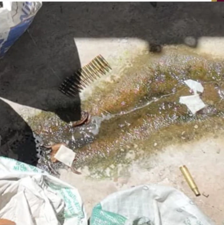 Aseguran inmueble usado como invernadero de marihuana en Elota