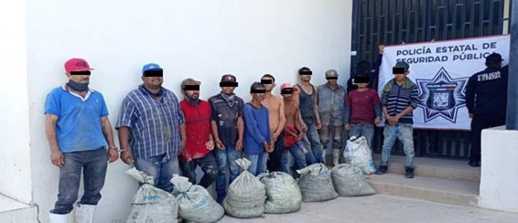 Por el robo de camarón a una granja acuícola once personas fueron vinculadas a proceso