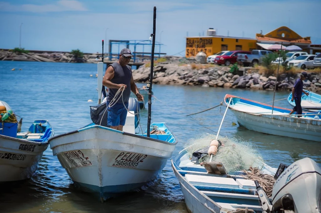 Sinaloa, entre las cinco entidades con mayor crecimiento económico en México en el primer semestre de 2025
