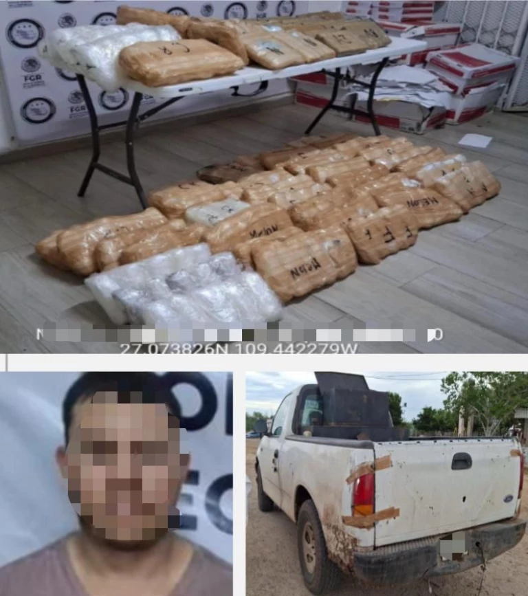 Mesa Estatal de Seguridad asegura más de 13.7 millones de dosis de droga en Sonora