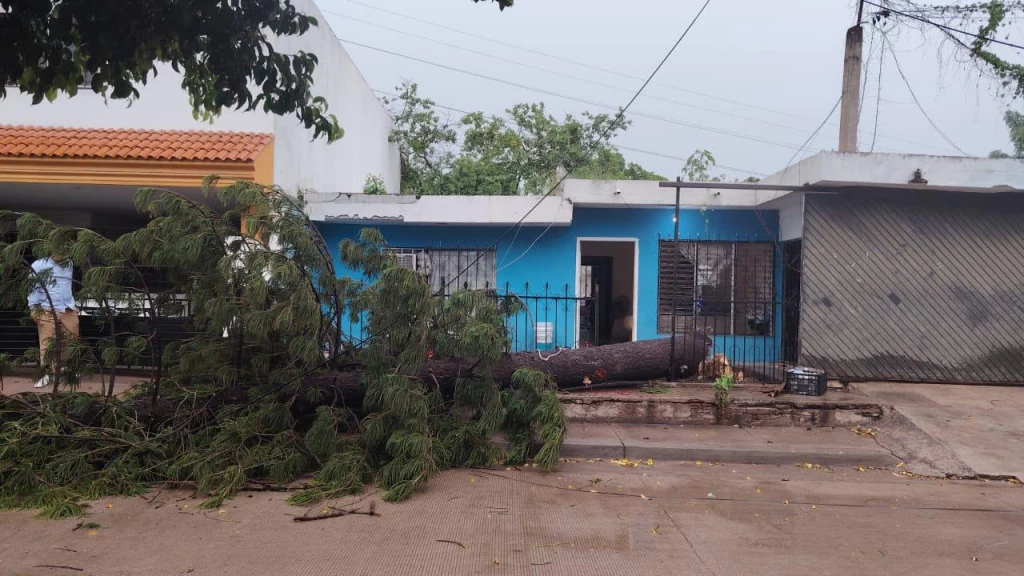 Lluvias dejan afectaciones en Culiacán