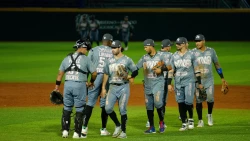 Rieleros: Con cátedra de bateo, Acereros se queda con la serie en el andén