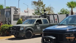 Ejecutan a balazos a una mujer