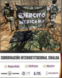 Decomisan cerca de cuatro mil cartuchos