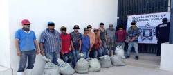 Por el robo de camarón a una granja acuícola once personas fueron vinculadas a proceso