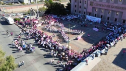 Gobierno de Sonora promueve prevención del cáncer de mama con caminata conmemorativa