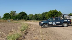 Asesinado y con huellas de tortura localizan a un hombre en Villa Juárez, Navolato
