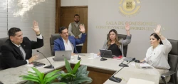 Avanza en comisión el Tercer Parlamento para la Inclusión de Personas con Discapacidad