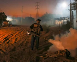Continúa Sonora fumigación contra el dengue pese a bajas temperaturas