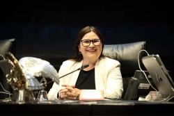 Imelda Castro solicita licencia al Senado de la República