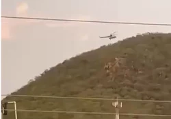 Fuerzas federales desplegaron un operativo en el Sur de Sinaloa