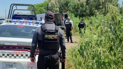 Localizan asesinado y envuelto en una sábana a un hombre en Vosta Rica, al sur de Culiacán