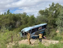 Autobús de pasajeros se sale de la carretera Altar-Santa Ana y ocupantes sufren picaduras de abejas